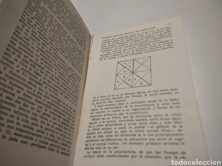 Libros de segunda mano: Libro amor y pedagog&iacute;a - Foto 5