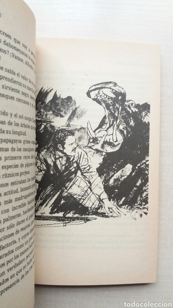 Libros de segunda mano: La costa de marfil. Emilio Salgari. Ediciones Orbis, 1987. - Foto 5