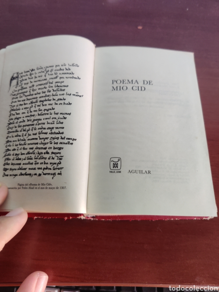 Libros de segunda mano: ESTAMOS LIQUIDANDO. Poema de Mio Cid Aguilar an&oacute;nimo - Foto 2