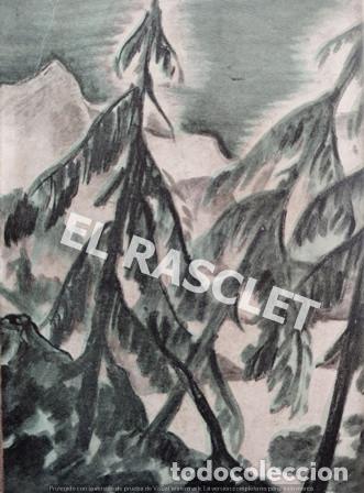Libros de segunda mano: LIBRO - A.J. CRONIN - LA DAMA DE LOS CLAVELES - A&Ntilde;O 1944 - - Foto 3