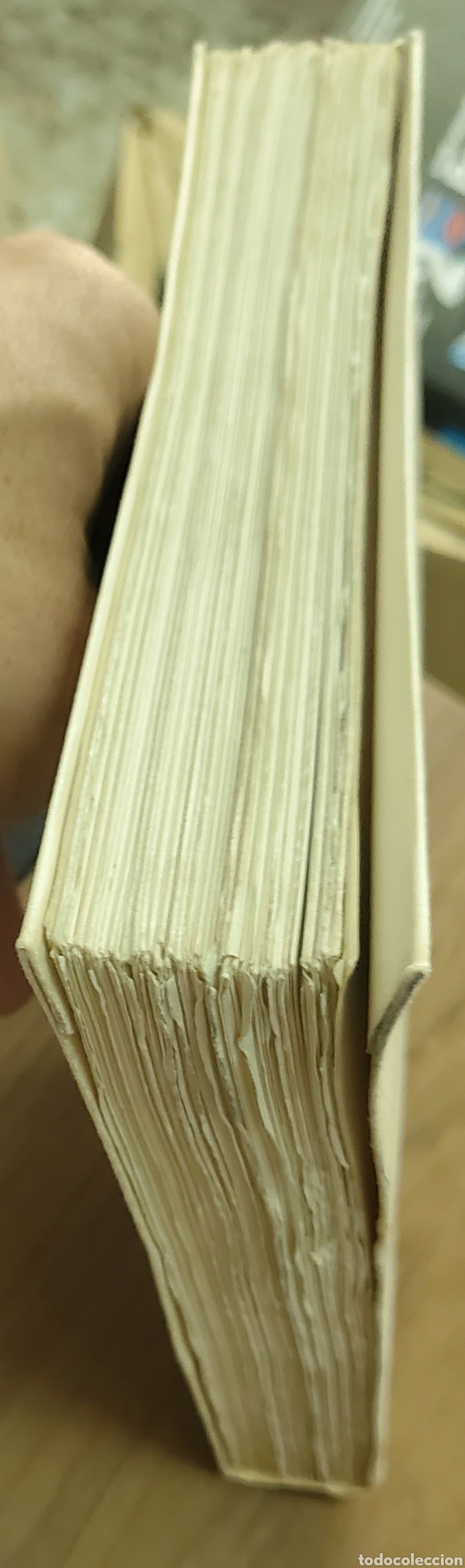 Libros de segunda mano: Garito de hospicianos. Camilo Jos&eacute; Cela - Foto 6