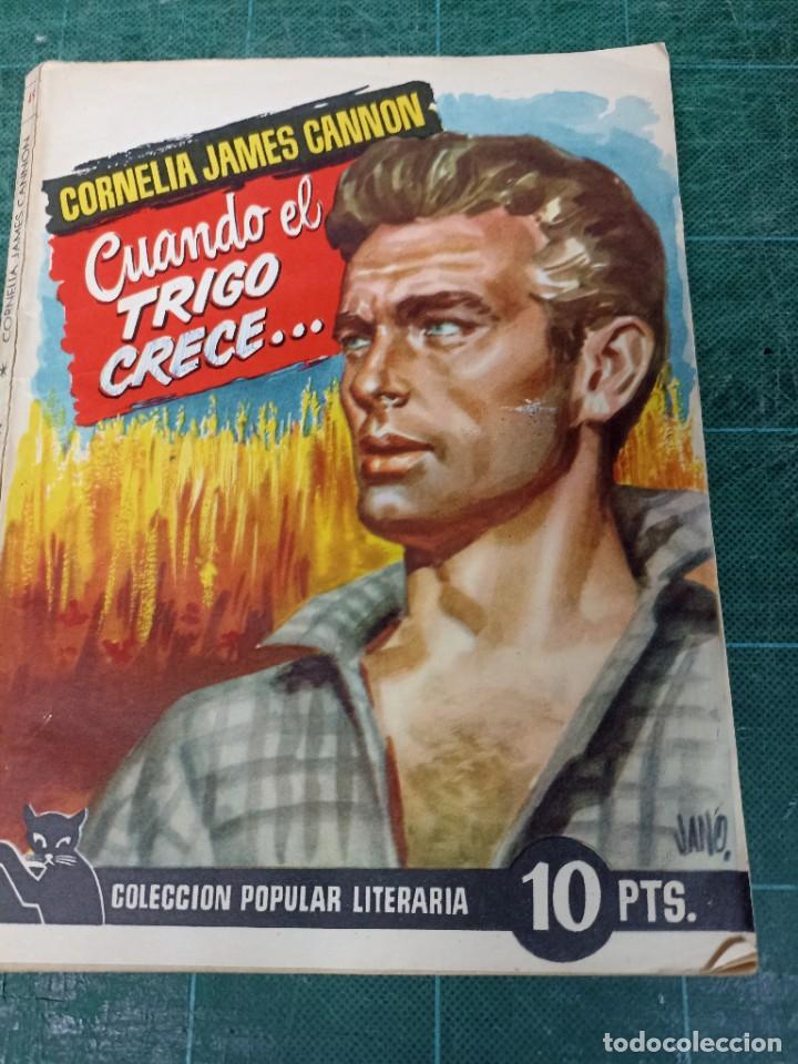 Libros de segunda mano: Cornelis James Cannon. Cuando el trigo crece - Foto 1