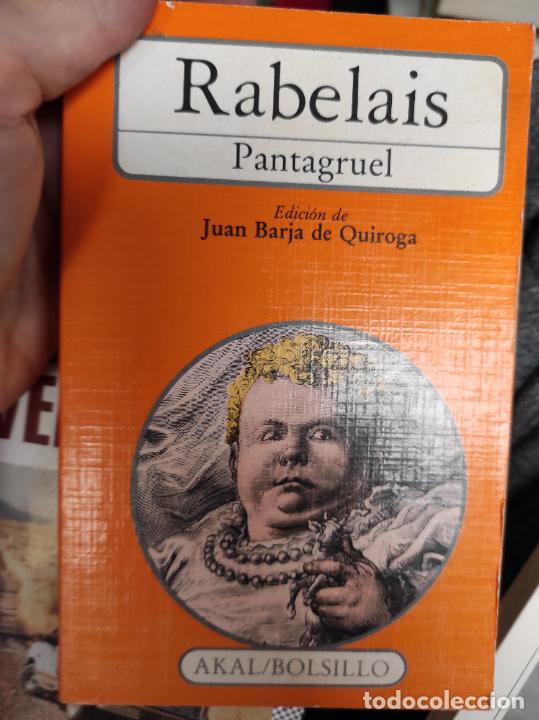 Libros de segunda mano: PANTAGRUEL - FRAN&Ccedil;OIS RABELAIS - Foto 1