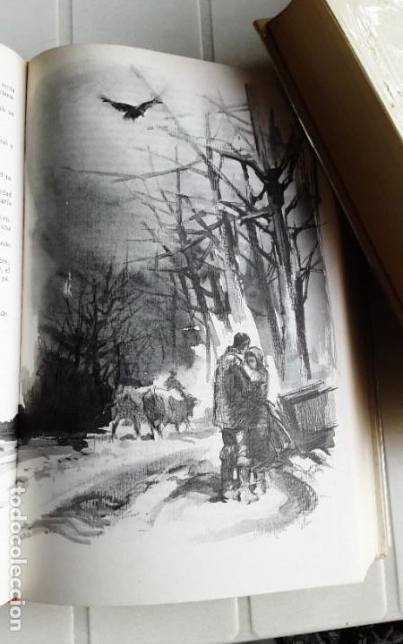 Libros de segunda mano: EL DON APACIBLE - MIJAIL CHOLOJOV - 2 Tomos - Foto 5