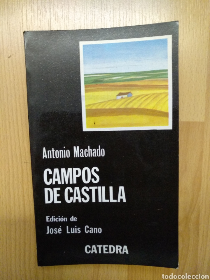 Libros de segunda mano: C13 - Campos de Castilla. Antonio Machado. Catedra - Foto 1