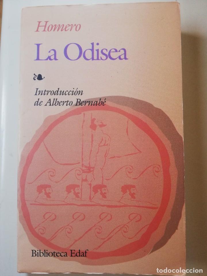 Libros de segunda mano: HOMERO - ODISEA. INTRODUCCI&Oacute;N DE ALBERTO BERNAB&Eacute; - EDAF - - Foto 1
