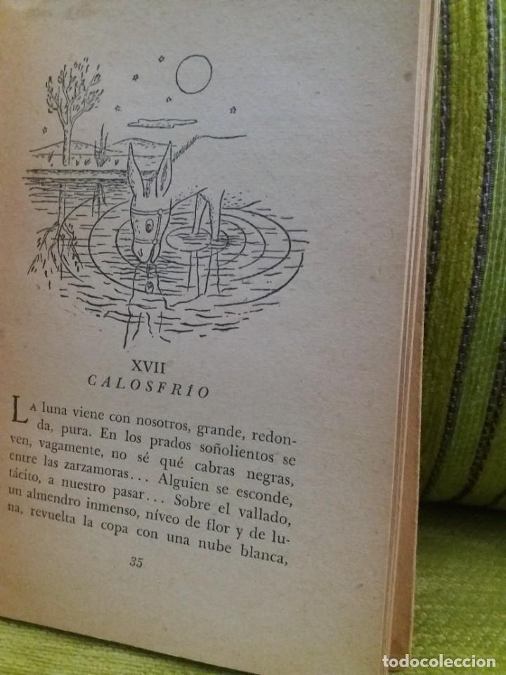 Libros de segunda mano: PLATERO Y YO - Foto 10