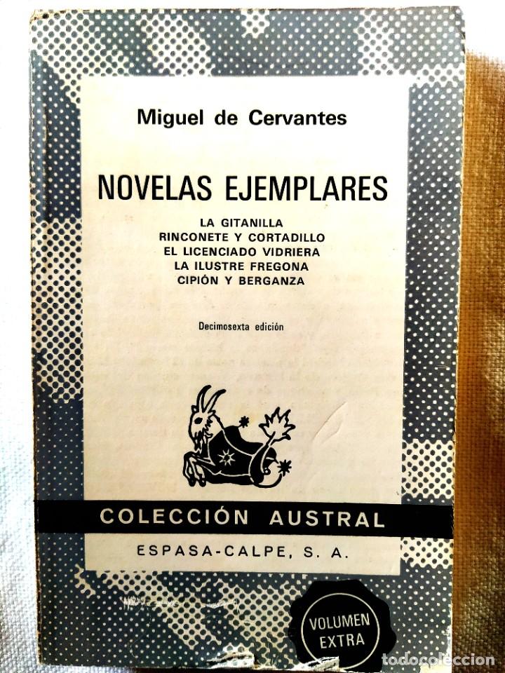 Libros de segunda mano: MIGUEL DE CERVANTES: NOVELAS EJEMPLARES - Foto 1