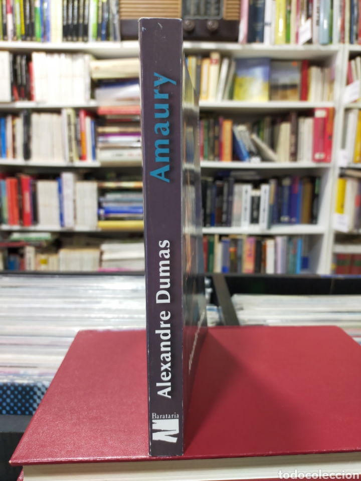 Libros de segunda mano: AMAURY - ALEXANDRE DUMAS - Foto 2