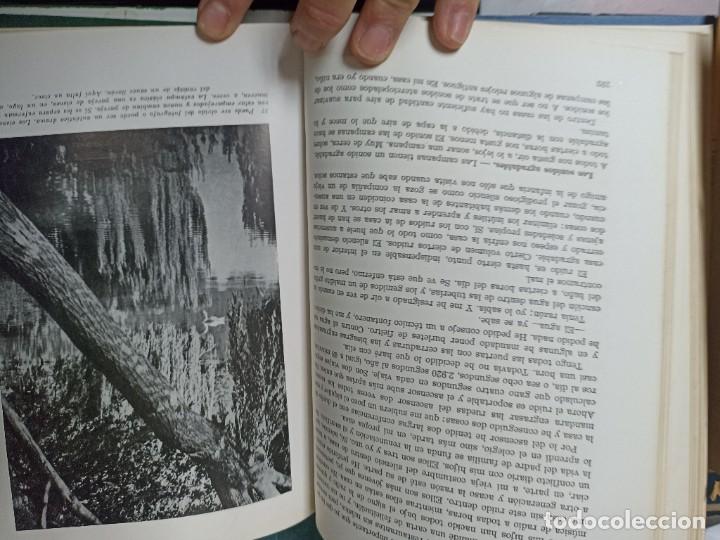 Libros de segunda mano: Noel Claraso. El libro de la vida agradable. - Foto 4