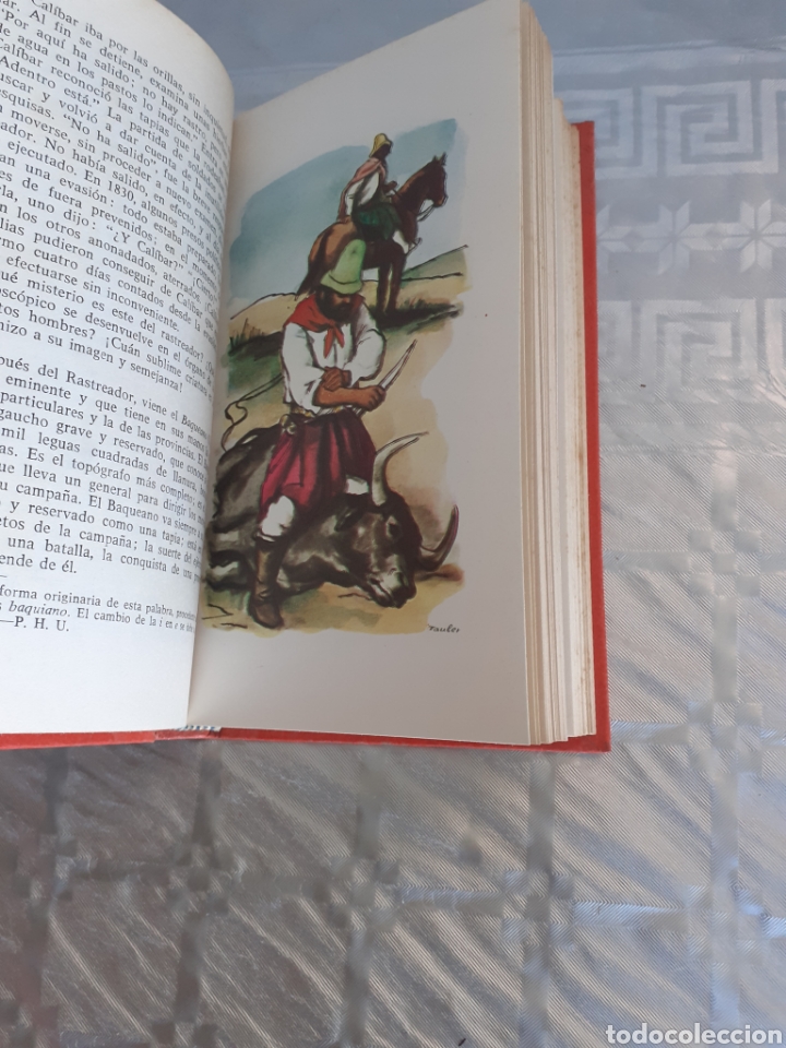 Libros de segunda mano: LIBRO &rdquo; FACUNDO&rdquo; DOMINGO FAUSTINO SARMIENTO. - Foto 2