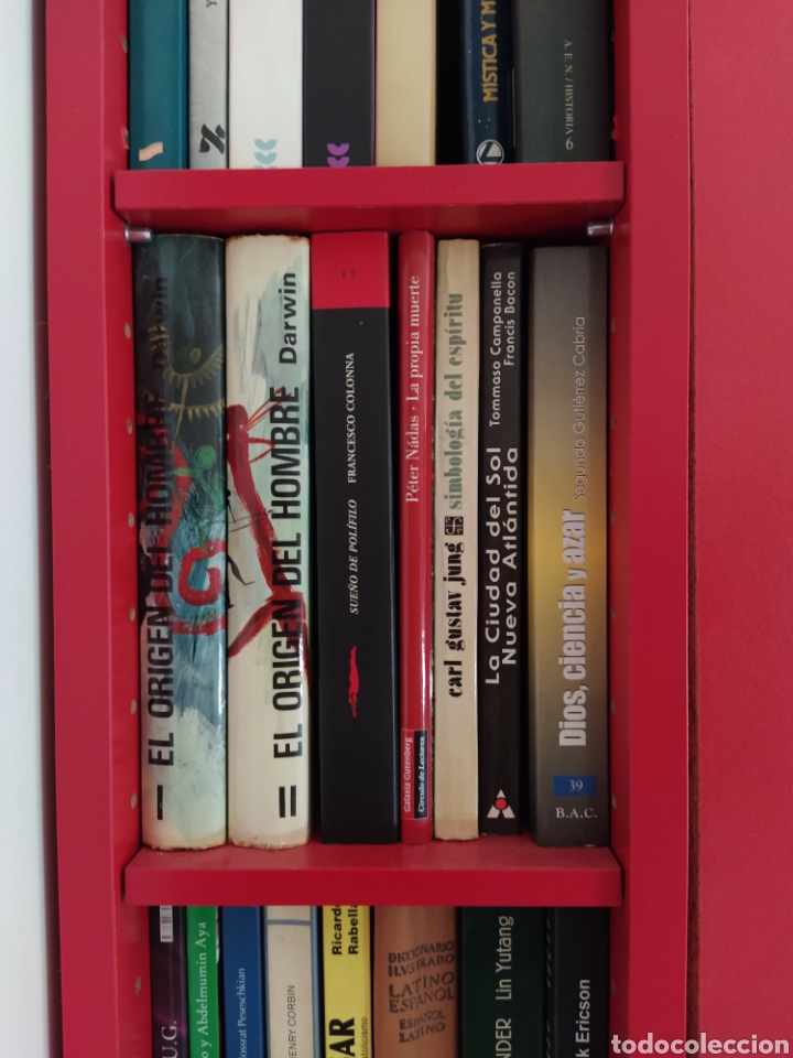 Libros de segunda mano: Sue&ntilde;o de Pol&iacute;filo FRANCISCO COLONNA Acantilado - Foto 15