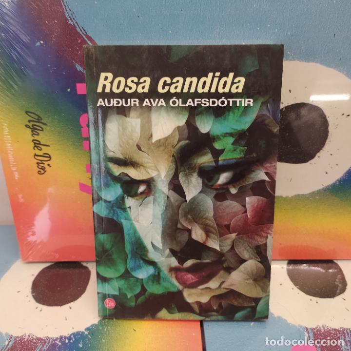 Libros de segunda mano: Rosa c&aacute;ndida - &Oacute;lafsd&oacute;ttir, Audur Ava - Foto 1