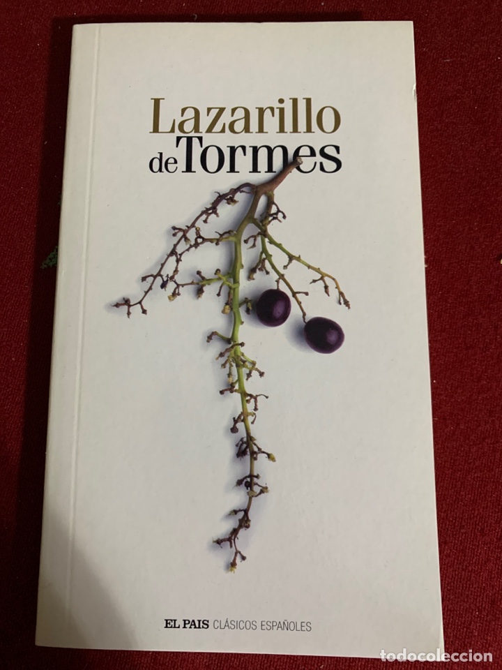 Libros de segunda mano: Lazarillo de Tormes. An&oacute;nimo. - Foto 1