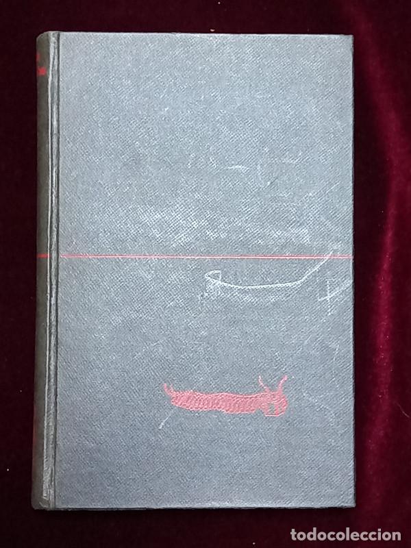 Libros de segunda mano: LIBRO DE CABALLERIAS - Juan Perucho - T&aacute;ber 1968 - Foto 1