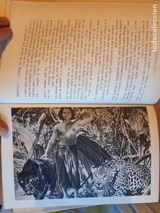 Libros de segunda mano: EL LIBRO DE LAS TIERRAS V&Iacute;RGENES. RUDYARD KIPLING EDICI&Oacute;N DE 1949 - Foto 7