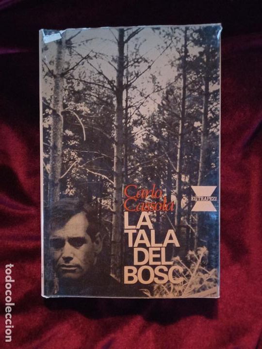 Libros de segunda mano: LA TALA DEL BOSC - Carlo Cassola - Ed. 62 1966 - Foto 1