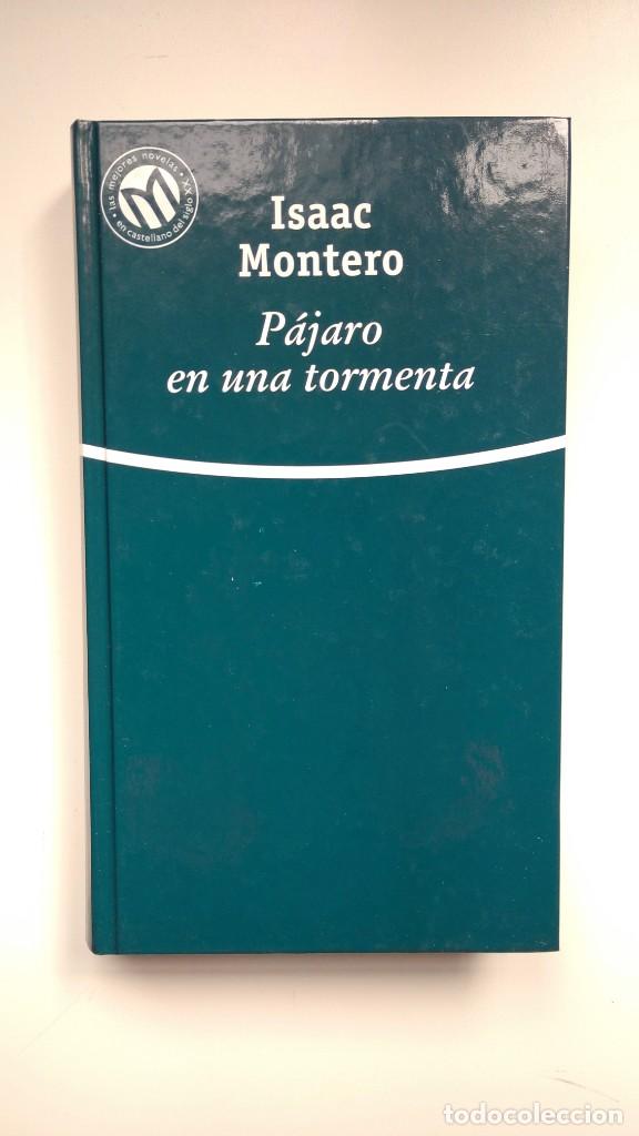 Libros de segunda mano: P&aacute;jaro en una Tormenta - Isaac Montero - Bibliotex, 2001 - Foto 1