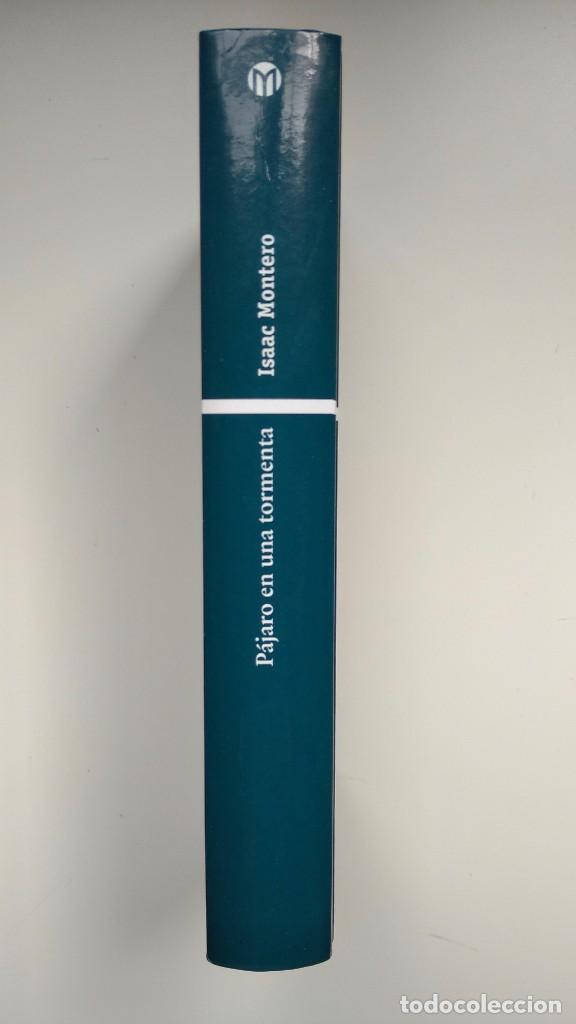 Libros de segunda mano: P&aacute;jaro en una Tormenta - Isaac Montero - Bibliotex, 2001 - Foto 2