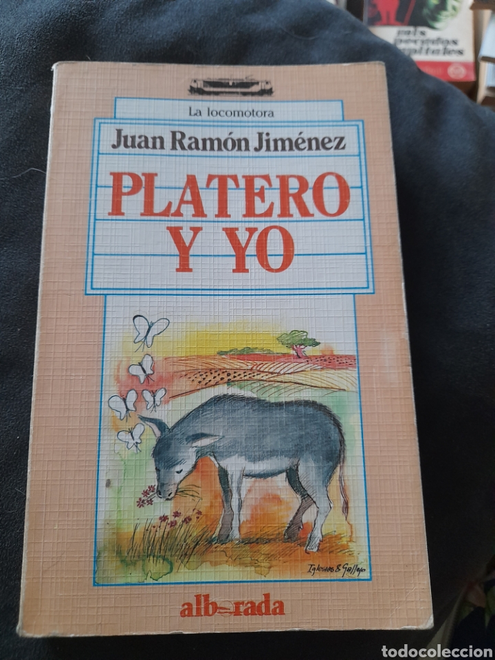 Libros de segunda mano: Platero y yo. Juan Ram&oacute;n Jim&eacute;nez - Foto 1