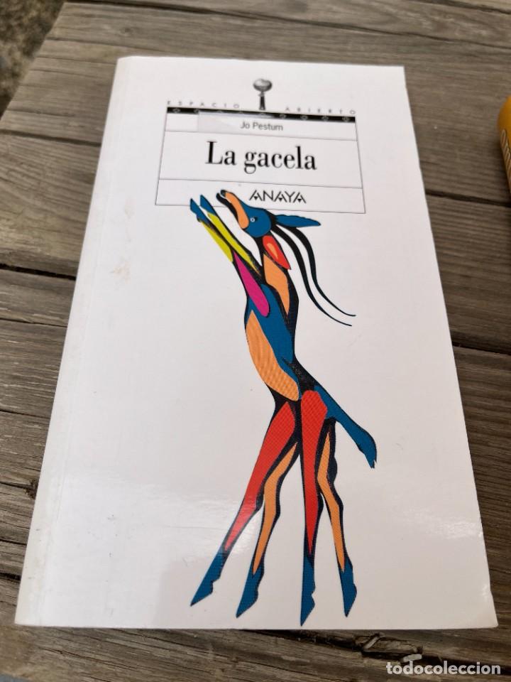 Libros de segunda mano: LA GACELA. JO PESTUM. - Foto 1