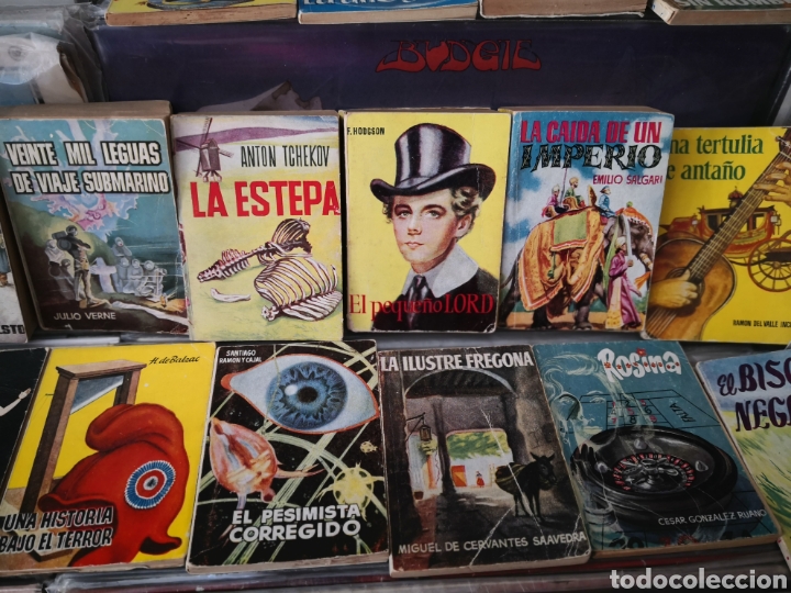 Libros de segunda mano: Lote 24 ejemplares enciclopedia pulga - Foto 3