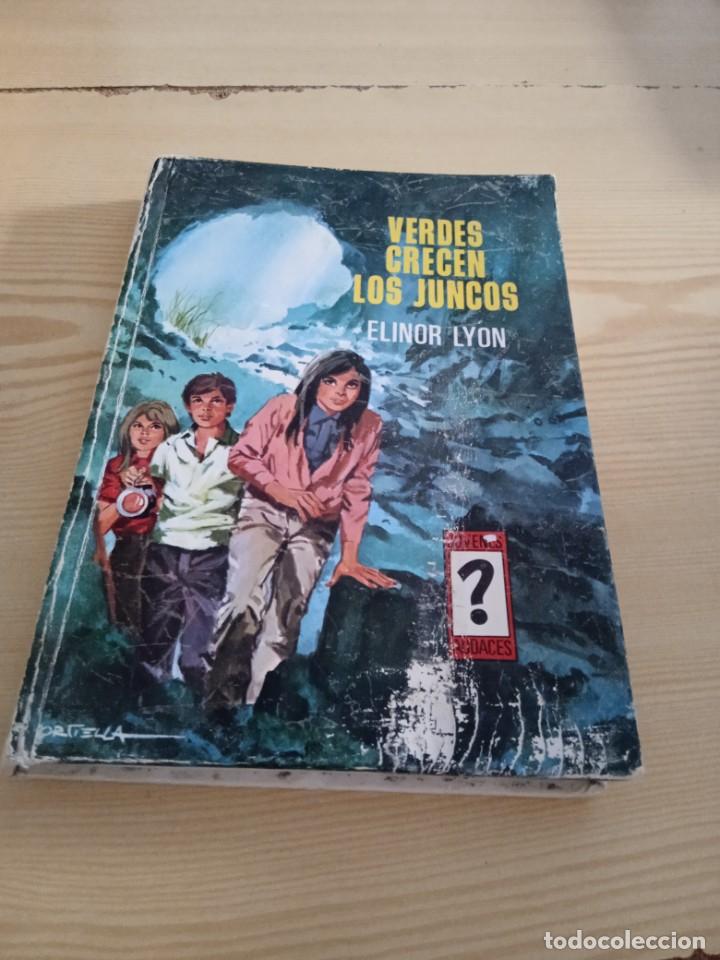 Libros de segunda mano: G-135 LIBRO VERDES CRECEN LOS JUNCOS ELINOR LYON - Foto 1