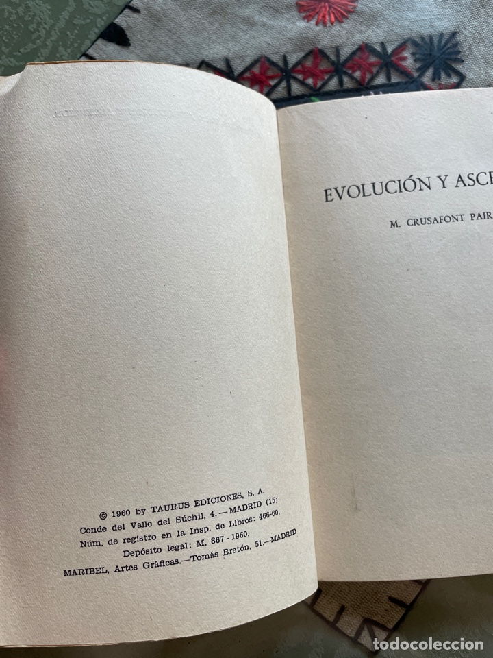 Libros de segunda mano: Manuel crusafont: EVOLUCI&Oacute;N Y ASCENSI&Oacute;N - Foto 3