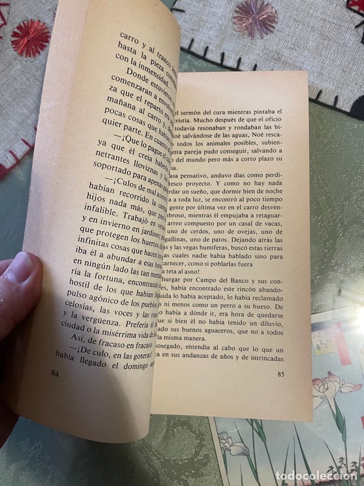 Libros de segunda mano: Sobre la tierra (Diego Angelino) - Foto 3
