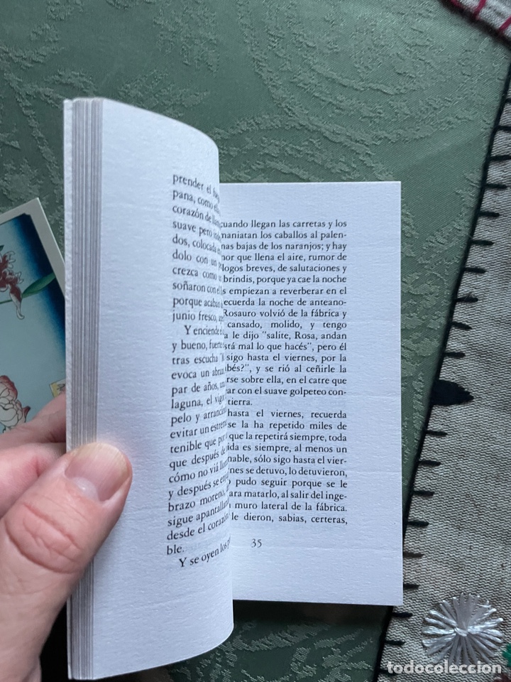 Libros de segunda mano: La entrevista (Mempo Giardinelli) - textos timidos - Foto 2