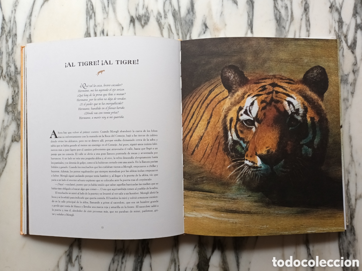 Libros de segunda mano: EL LIBRO DE LA SELVA - RUDYARD KIPLING - ILUSTRACIONES ROBERT INGPEN - BLUME - 2007 - Foto 5