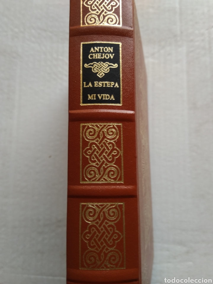 Libros de segunda mano: LA ESTEPA/MI VIDA/ANTON CHEJOV - Foto 1