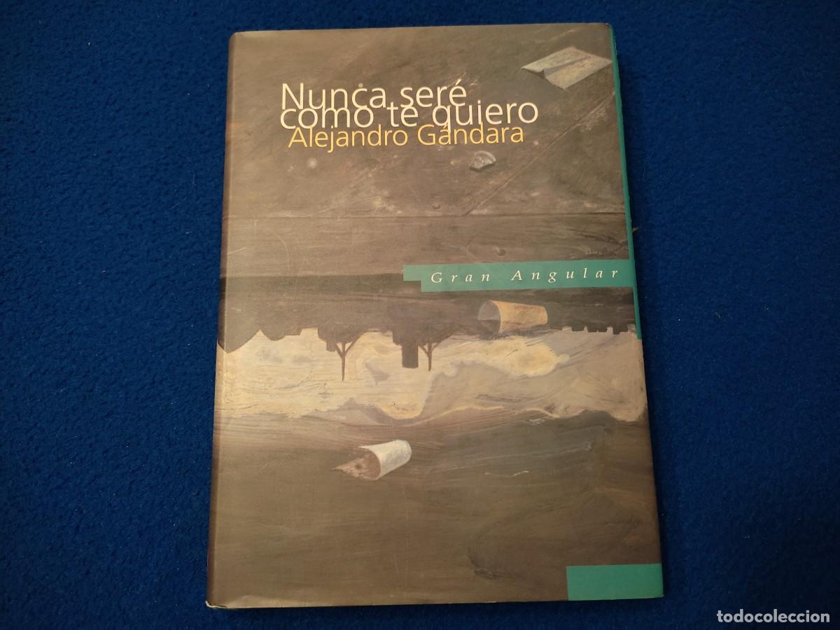 Libros de segunda mano: Nunca Ser&eacute; Como te Quiero Alejandro G&aacute;ndara Ediciones S M 1995 - Foto 1