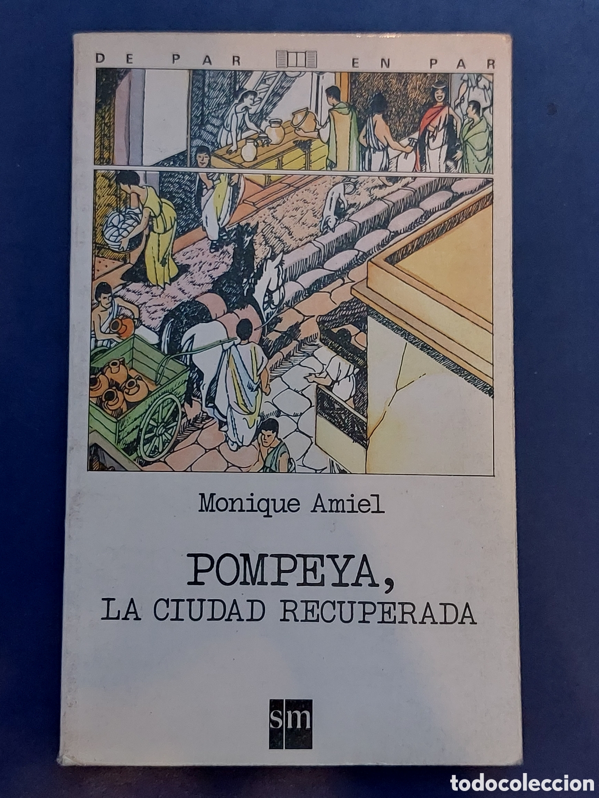Libros de segunda mano: POMPEYA, LA CIUDAD RECUPERADA # MONIQUE AMIEL # S M #