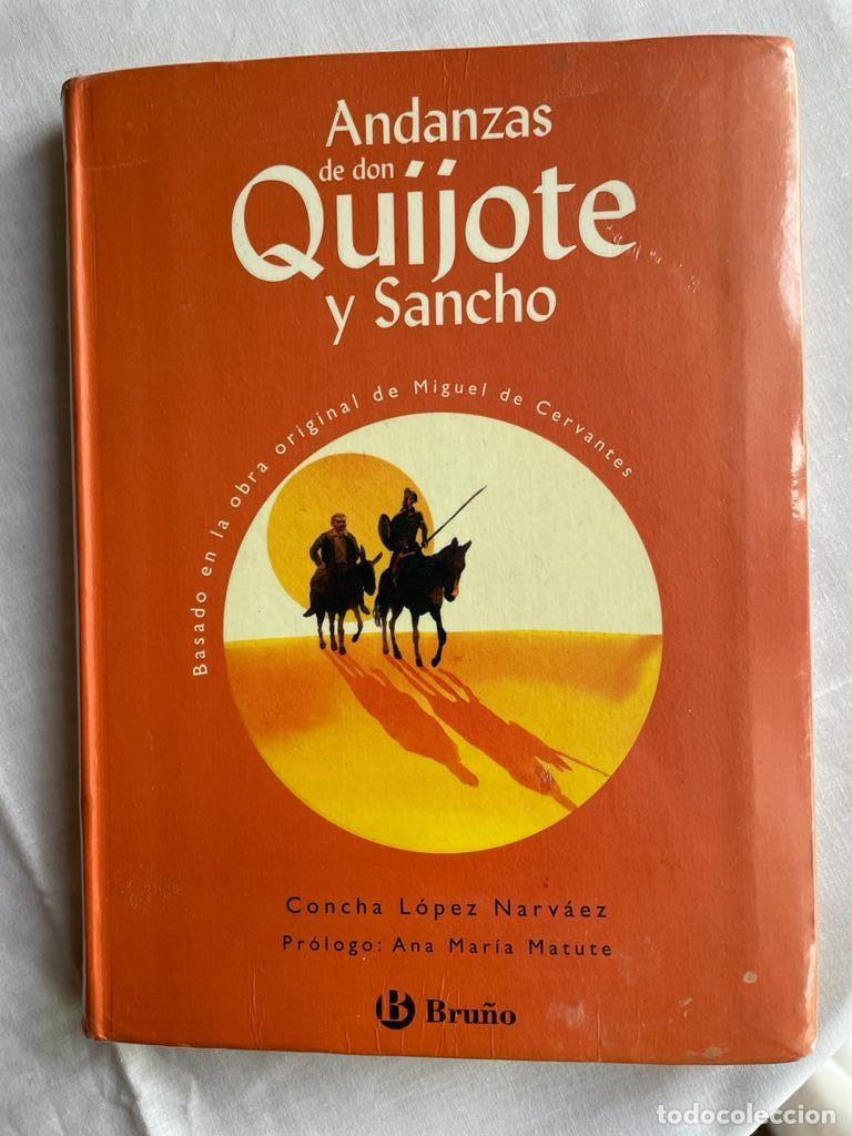 Libros de segunda mano: Andanzas de Don Quijote y Sancho - Foto 1