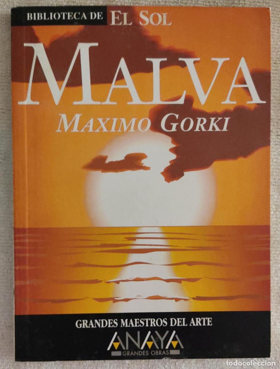 Libros de segunda mano: MALVA. - Foto 1