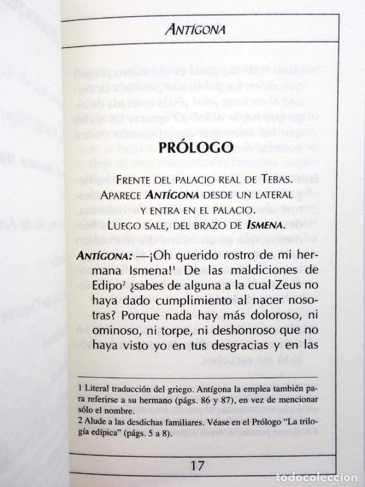 Libros de segunda mano: CL&Aacute;SICOS DE BOLSILLO 1. ANT&Iacute;GONA (S&oacute;focles) Longseller, 2001. OFRT - Foto 8