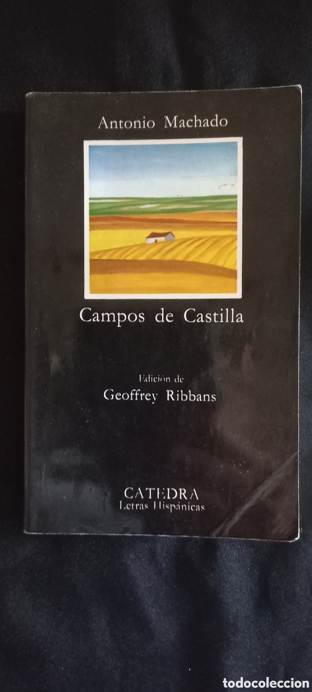 Libros de segunda mano: CAMPOS DE CASTILLA. ANTONIO MACHADO - Foto 1