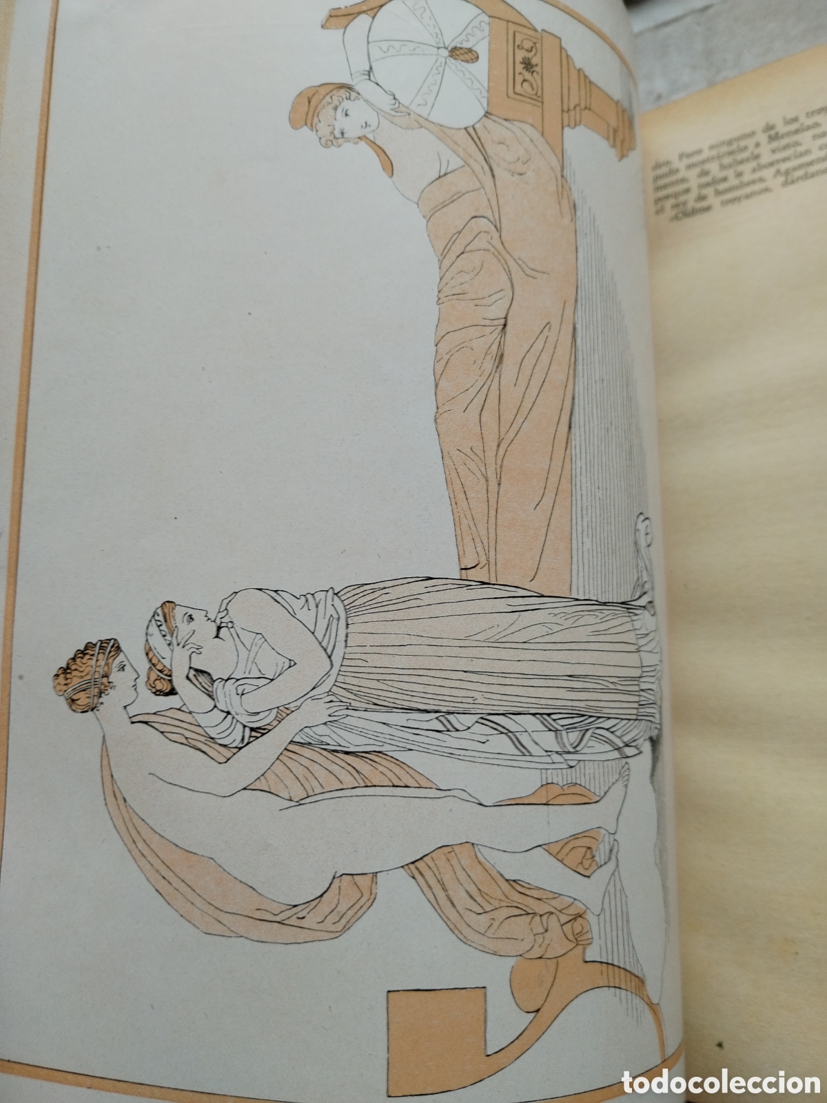 Libros de segunda mano: LA ILIADA /HOMERO - Foto 5