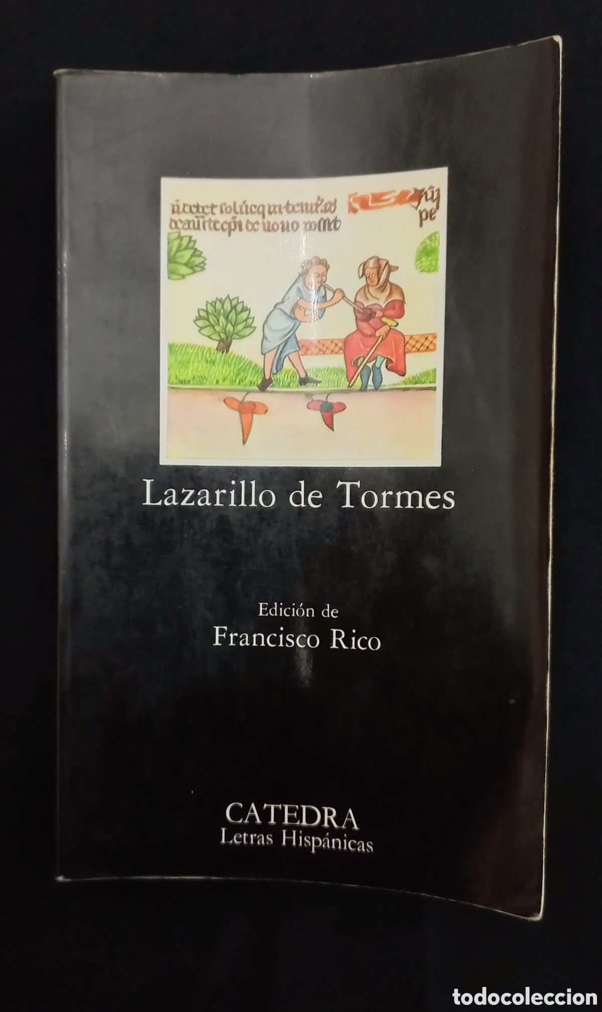 Libros de segunda mano: EL LAZARILLO DE TORMES. C&Aacute;TEDRA DE LETRAS HISPANICAS - Foto 1