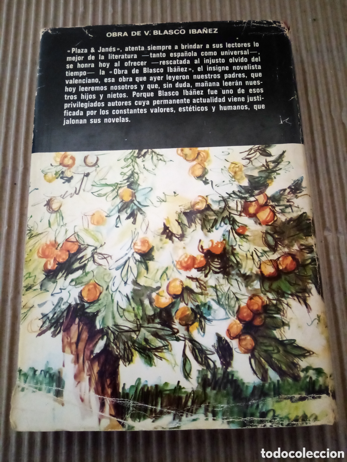 Libros de segunda mano: Entre naranjos. -Vicente Blasco Ib&aacute;nez- - Foto 3