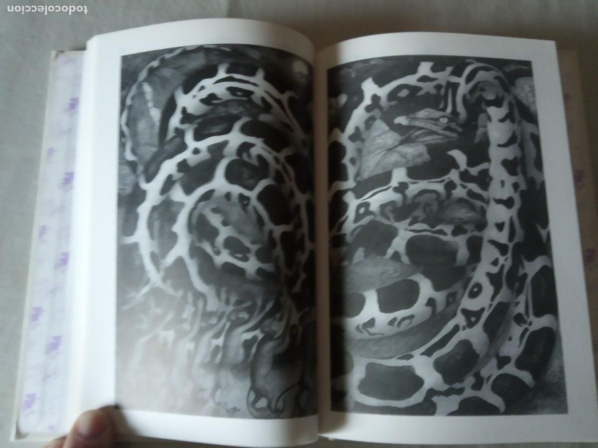 Libros de segunda mano: EL LIBRO DE LA SELVA.- RUDYARD KIPLING. - Foto 4