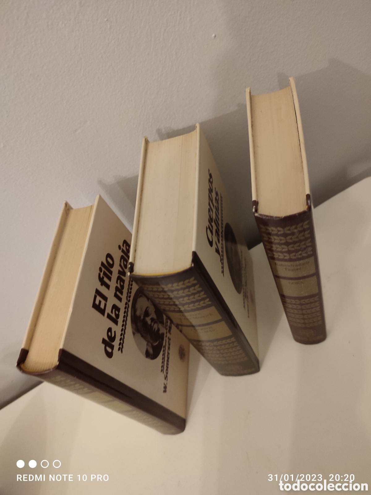 Libros de segunda mano: Lote de 3 libros 1981 - colecci&oacute;n Ra&iacute;z y Rama - Foto 3