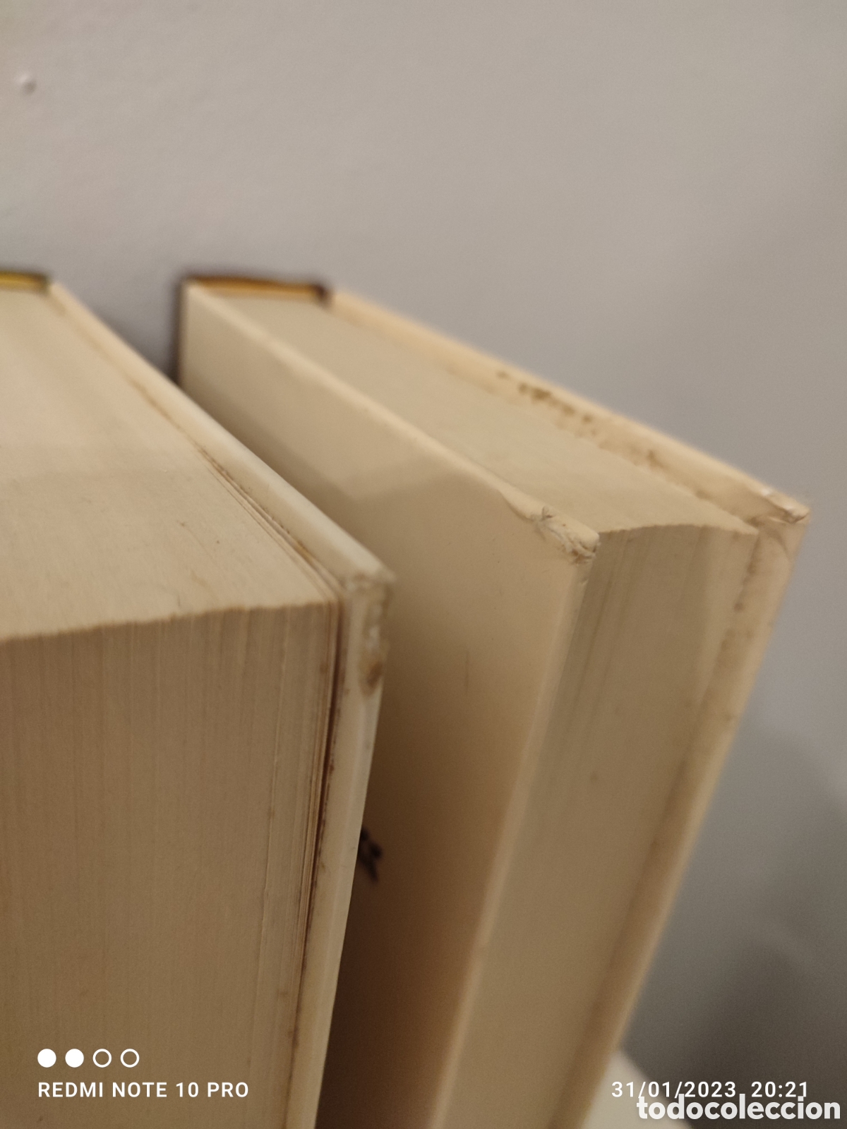 Libros de segunda mano: Lote de 3 libros 1981 - colecci&oacute;n Ra&iacute;z y Rama - Foto 5