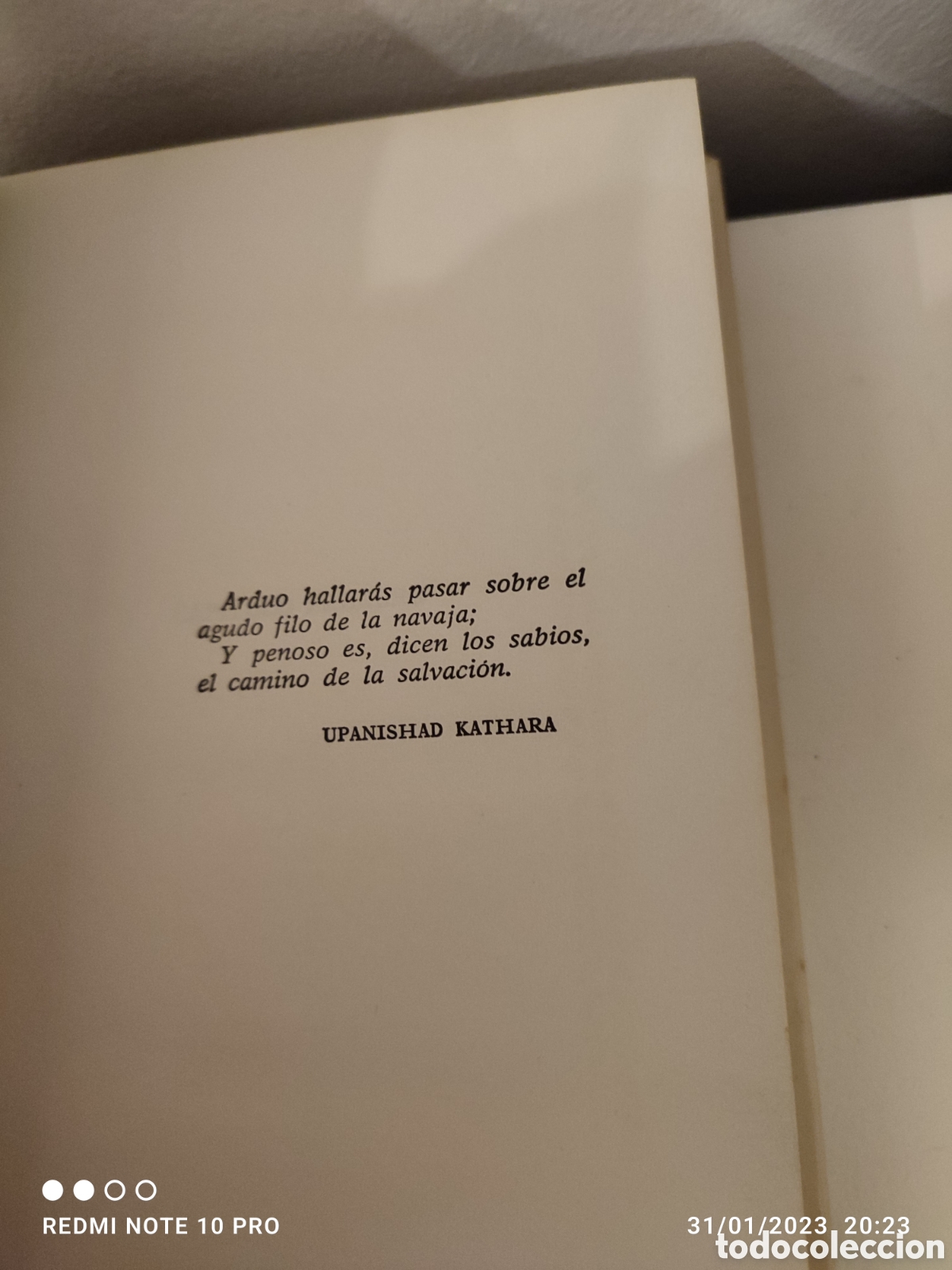 Libros de segunda mano: Lote de 3 libros 1981 - colecci&oacute;n Ra&iacute;z y Rama - Foto 9