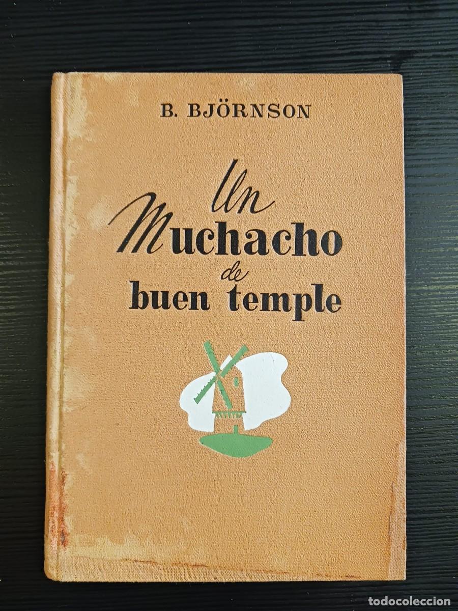 Libros de segunda mano: Un muchacho de buen temple - Foto 1