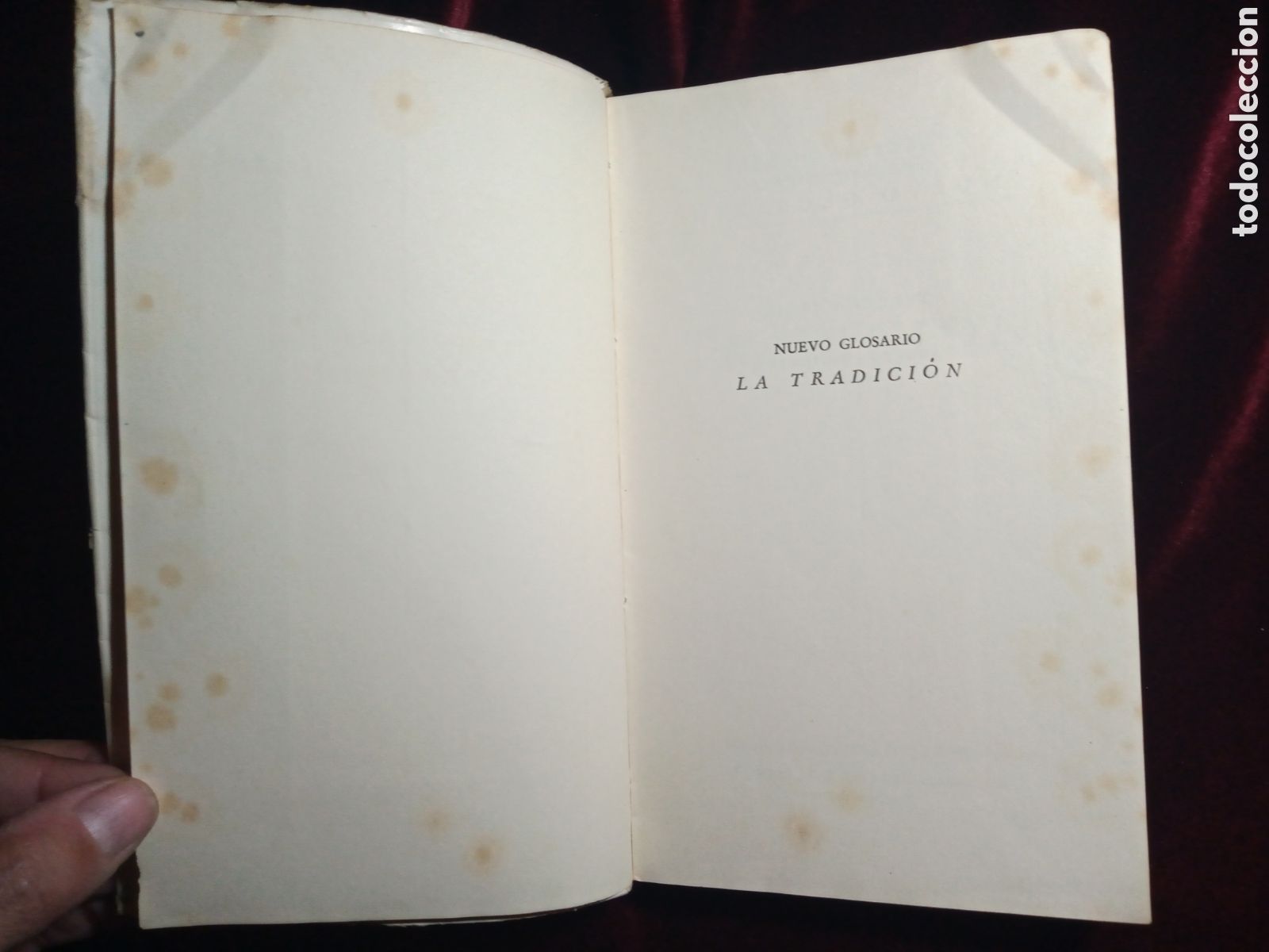 Libros de segunda mano: LA TRADICI&Oacute;N. EUGENIO DORS. Primera edici&oacute;n. - Foto 5