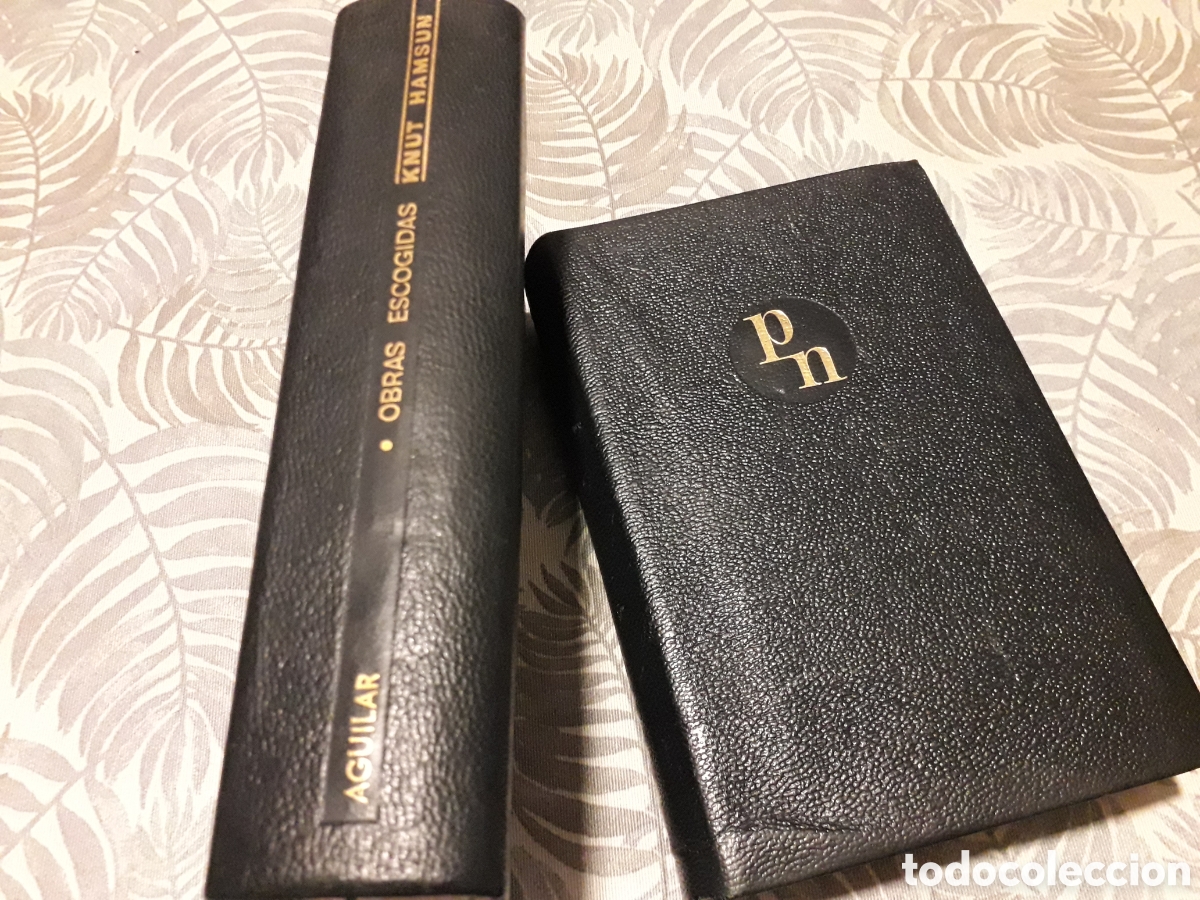 Libros de segunda mano: KNUT HAMSUN, PREMIO NOBEL 1920, - Foto 1