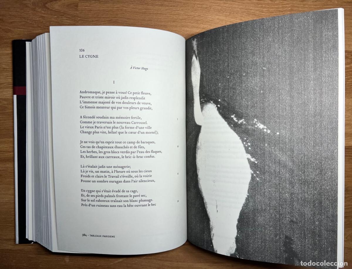 Libros de segunda mano: Las flores del mal - Baudelaire (ABADA, Biling&uuml;e) - Foto 4