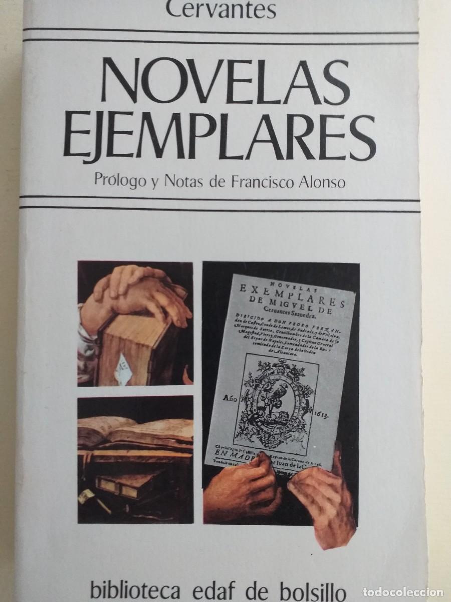 Libros de segunda mano: novelas ejemplares Miguel de Cervantes ed Edaf - Foto 1